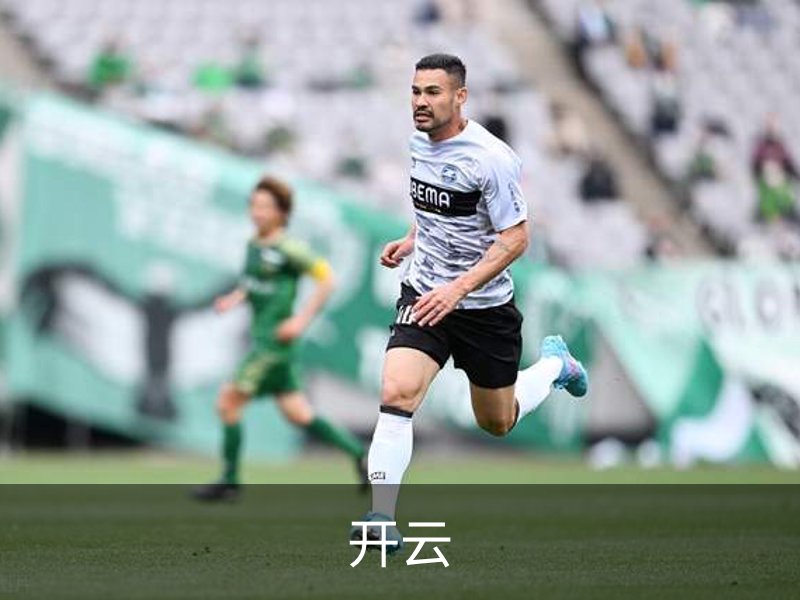 关于开云